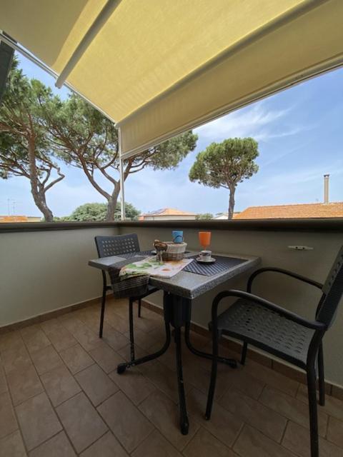 Il Cardellino 3*